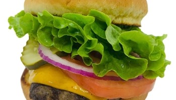 Busy Burger