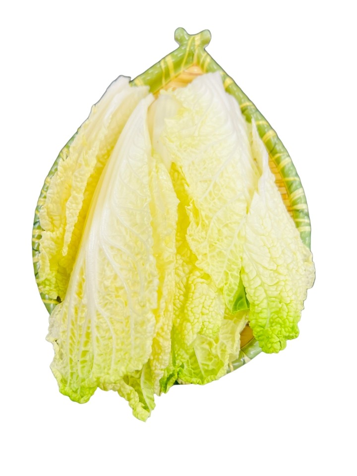 Napa Cabbage 大白菜