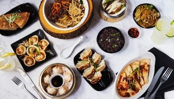 Dumpling Dojo
