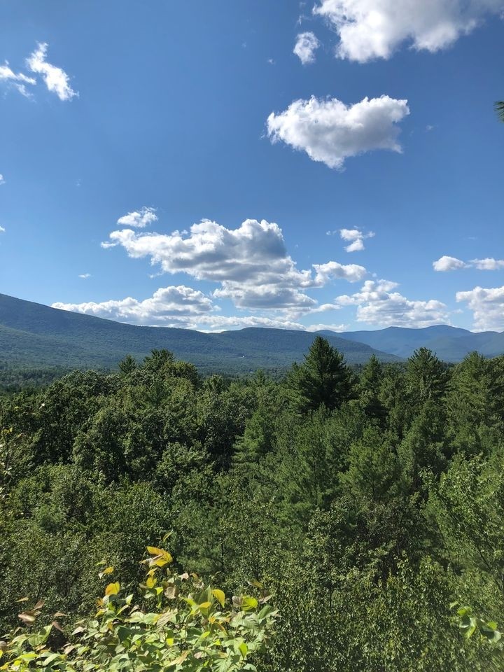 Upstate Taco