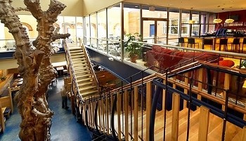 Medici in Normal 120 West North Street