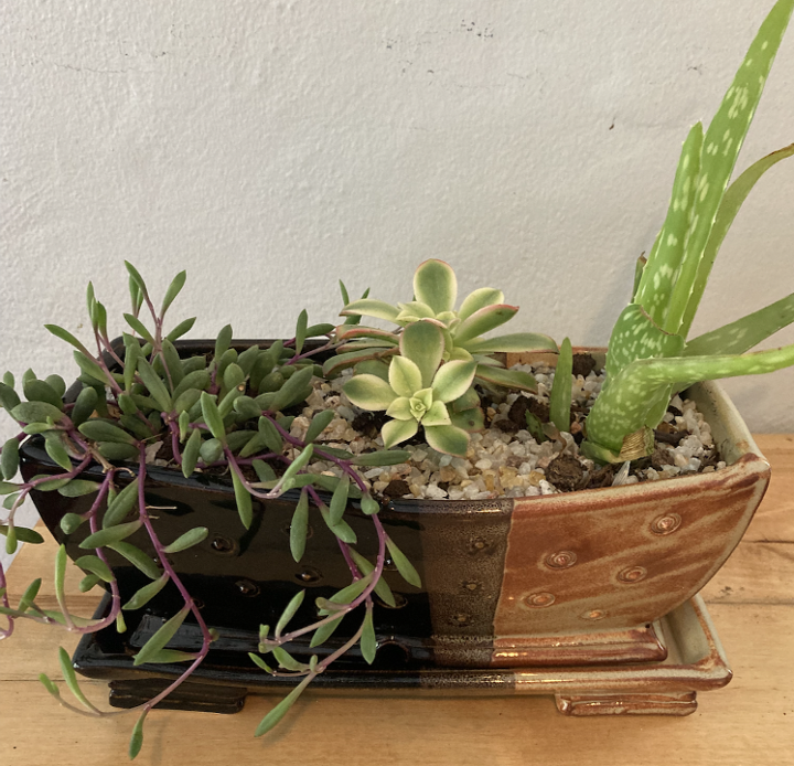 Succulent Planter