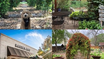 Garden Cafe 5310 Junius St