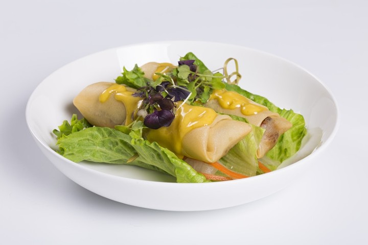 Beef Spring Roll