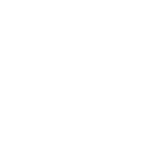 Black Duck Tavern 31 Warren Ave