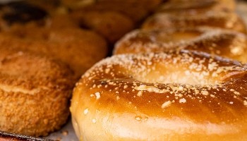 Tasty's Bagel's Plainville