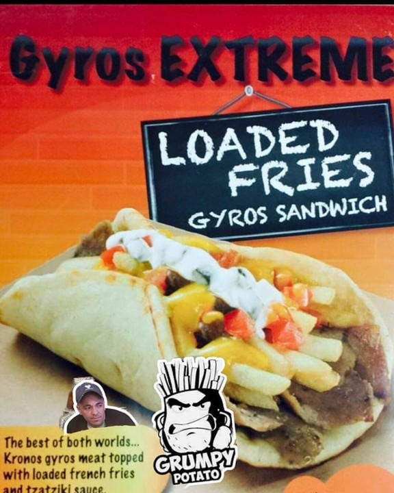 Loaded Fry Gyro