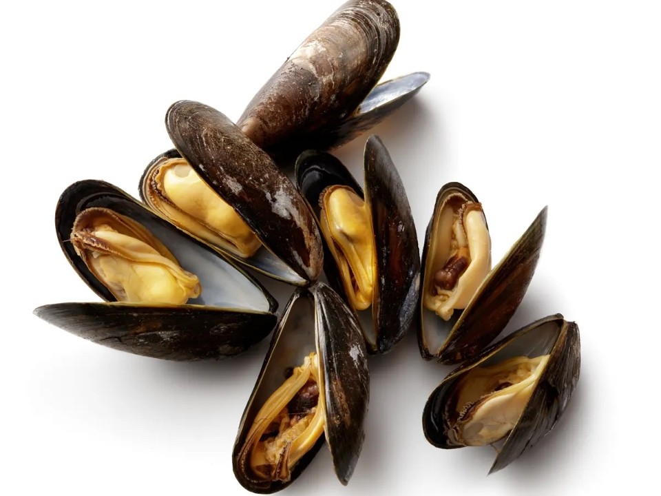 Black Mussels