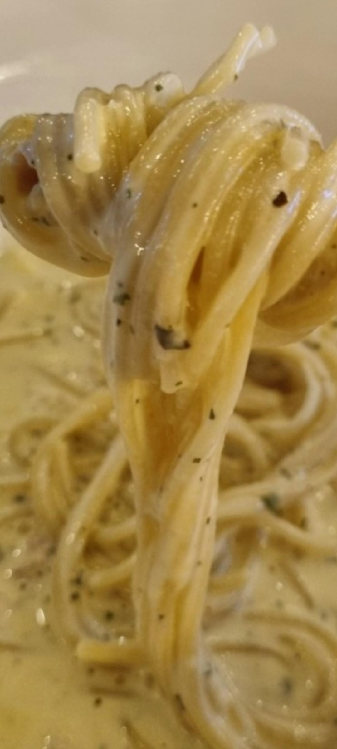 Spaghetti Alfredo (Signature)