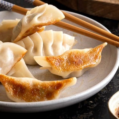 Fried Meat Dumplings