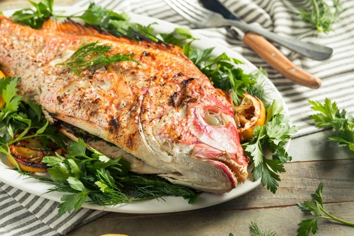 Grilled  Red Snapper