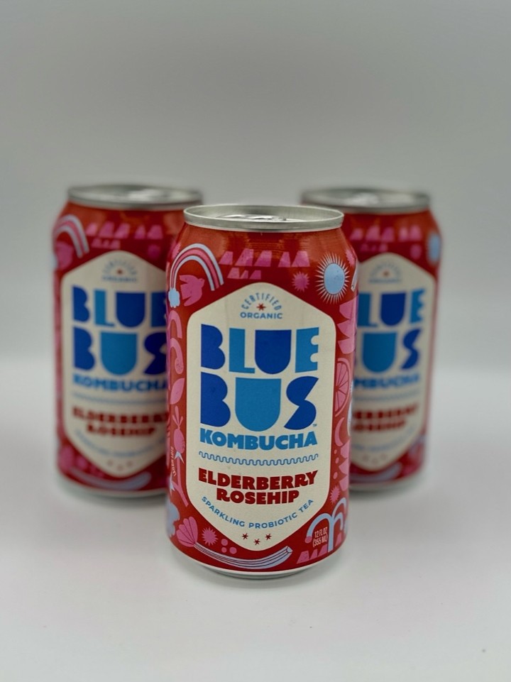 Blue Bus Kombucha -  Citrus Sunshine (12 oz)