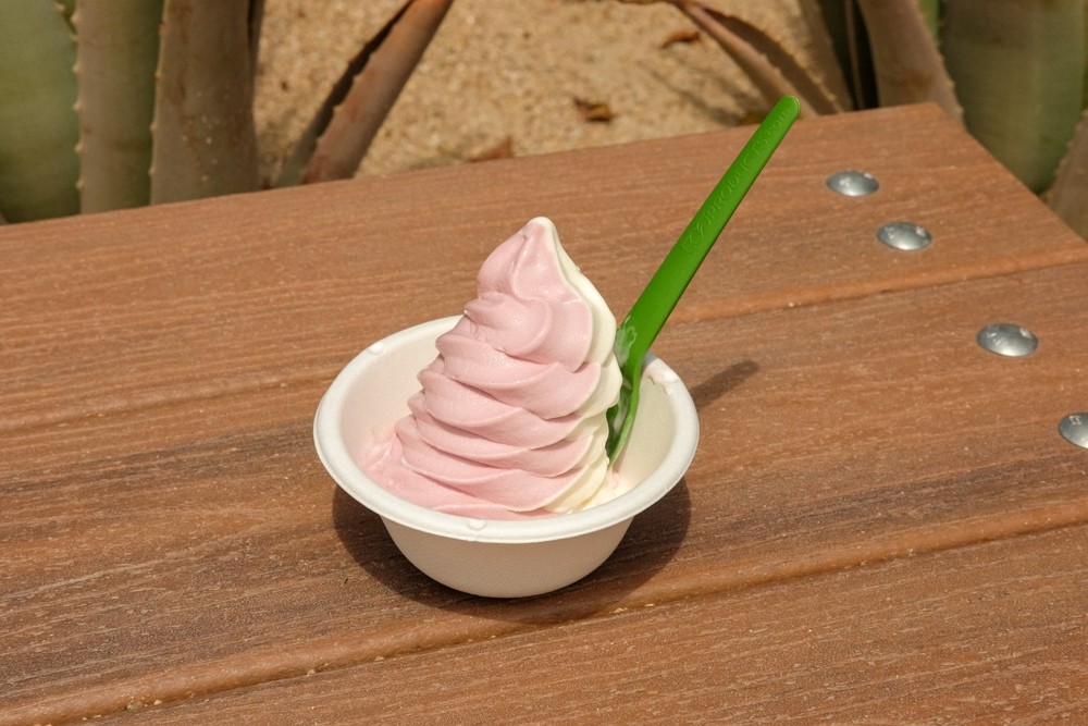 Vanilla/Prickly Pear Twist Ice Cream