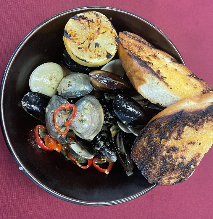 Mussels & Clams *NEW*