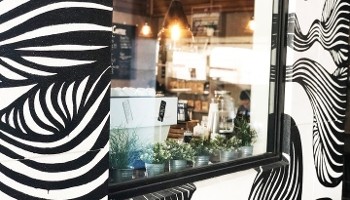 Buddy Brew Coffee Sarasota