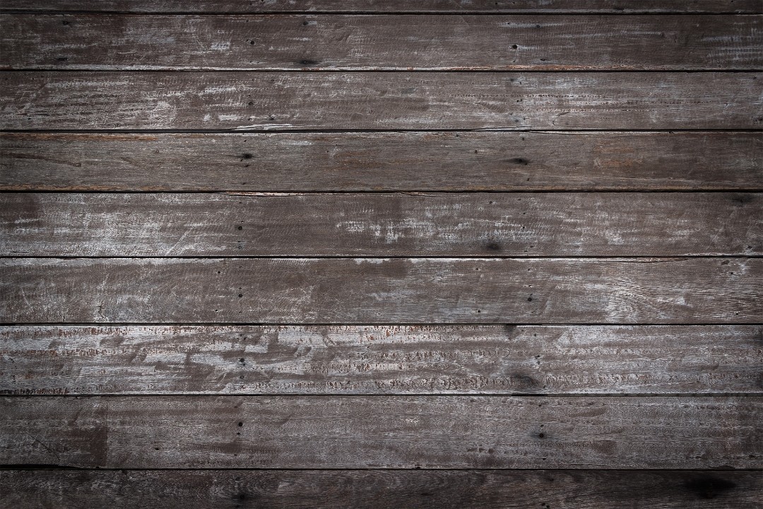 Banner image