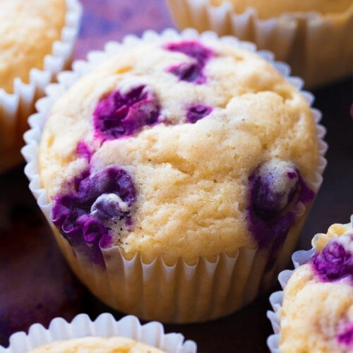 Blueberry Muffin