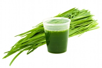 Wheatgrass Bottle