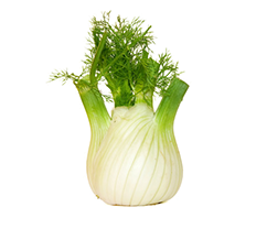 Fennel Care