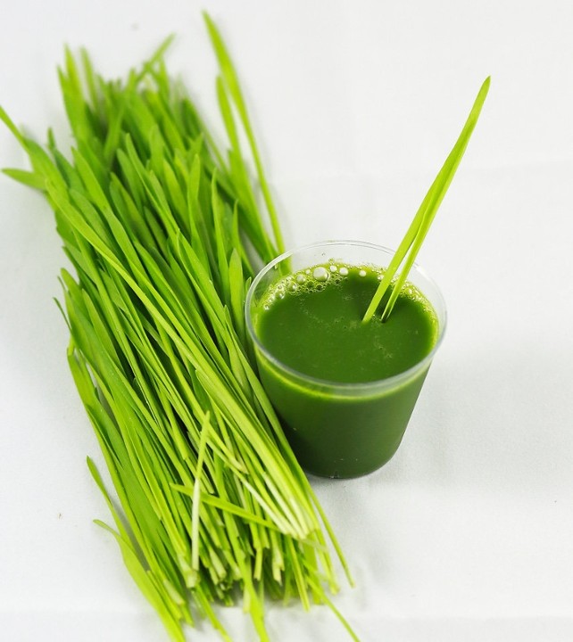 WheatGrass