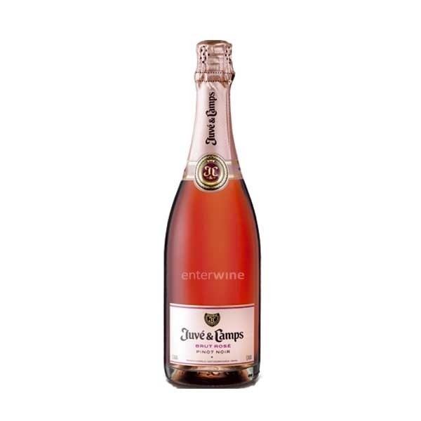 Juvé & Camps Essential Pinot Noir Cava Brut Rosé (Bottle)