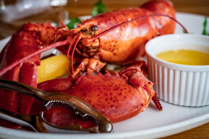 Whole Maine Lobster