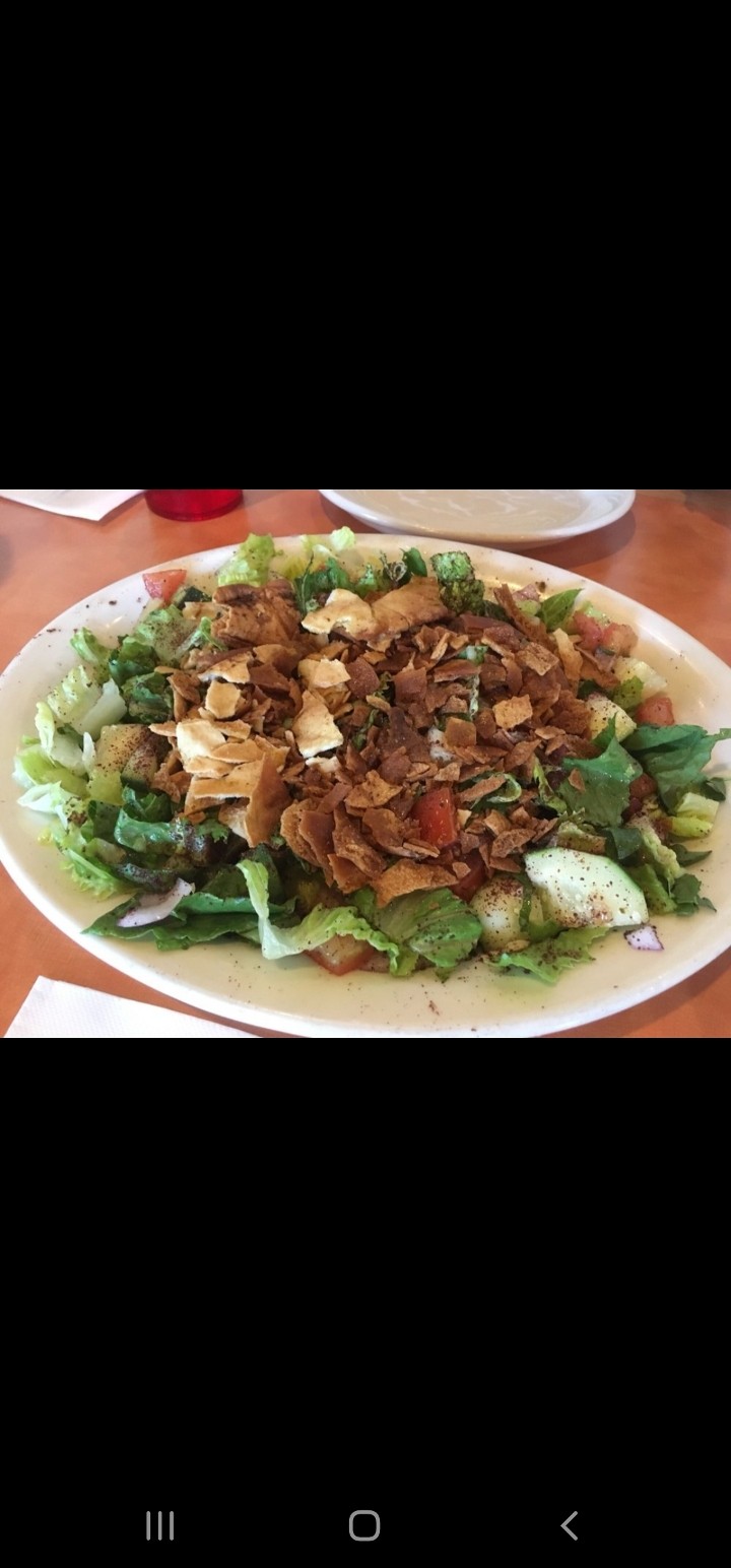 Fatoush Salad $9