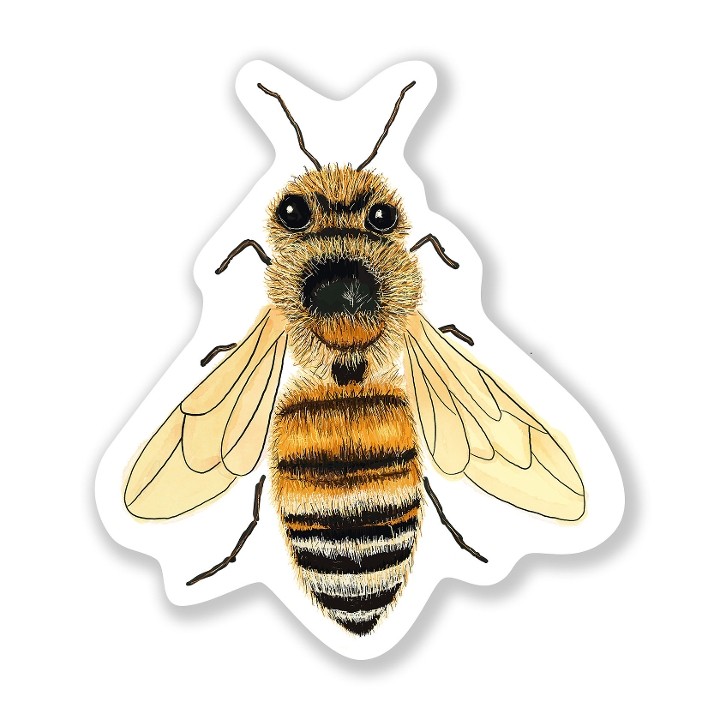 Bee