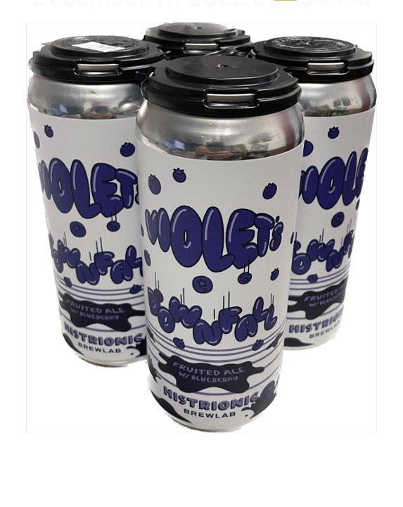 Violet's Downfall Blueberry Ale 4pk