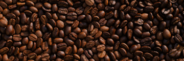 The Coffee Shop