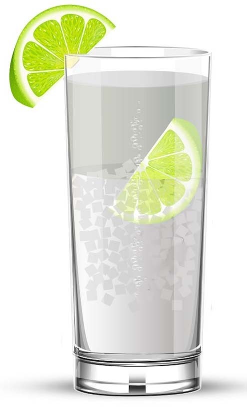 VODKA + TONIC
