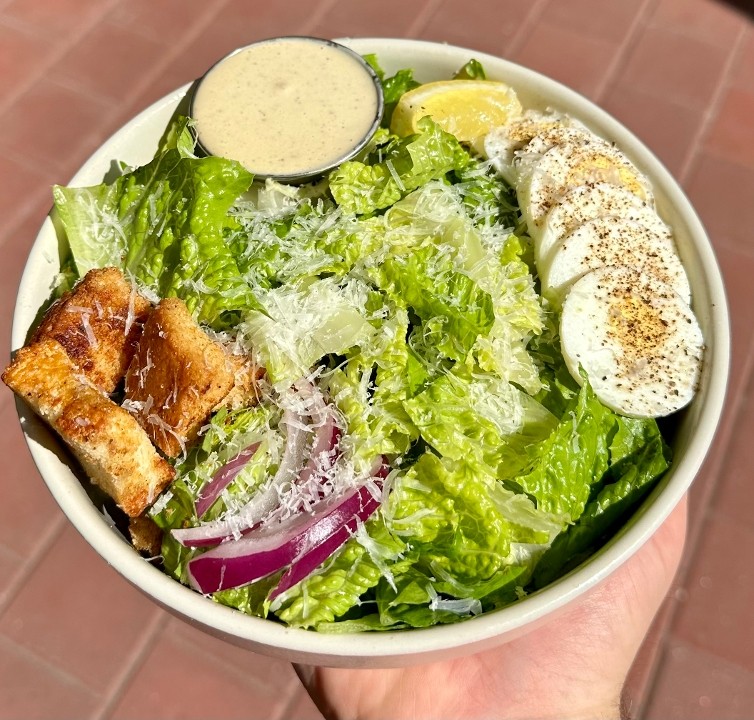 Plain Caesar Salad