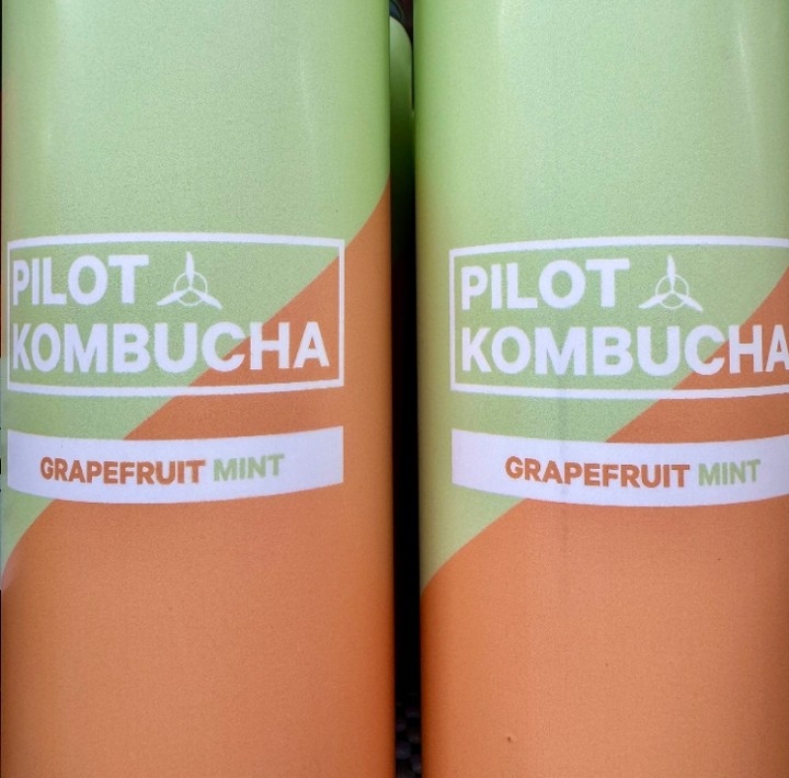 Pilot Grapefruit Mint