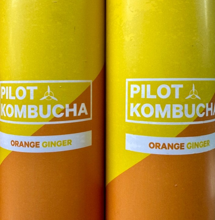 Pilot Orange Ginger