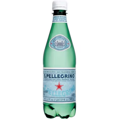 Pellegrino Sparkling water, 16.9 fl oz bottle
