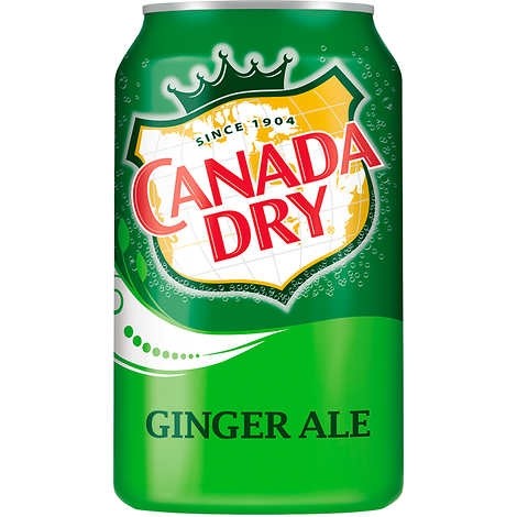 Canada Dry Ginger Ale, 12 fl oz can