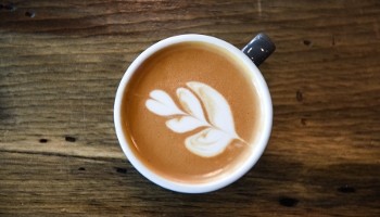 Groundwork Coffee Company - NOHO 11275 Chandler Blvd.